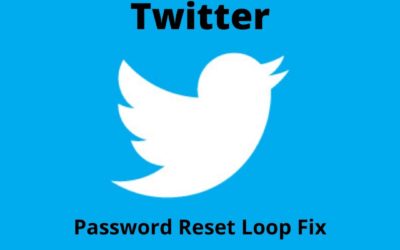 Got Stuck In Twitter Password Reset Loop